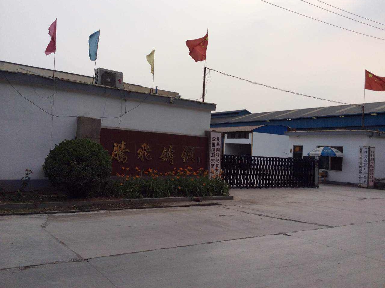 大齒輪生產(chǎn)廠家-騰飛鑄鋼